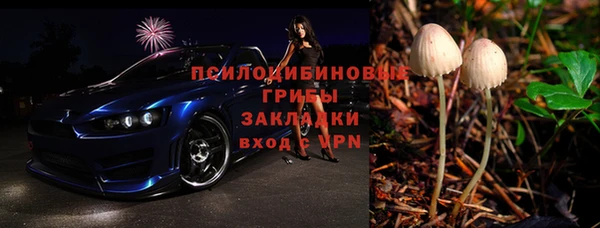 гидра Алексин