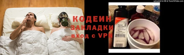 гидра Алексин