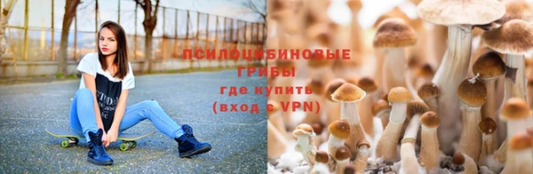 ПСИЛОЦИБИНОВЫЕ ГРИБЫ Абдулино