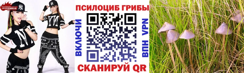 наркота  Истра  Галлюциногенные грибы мицелий 